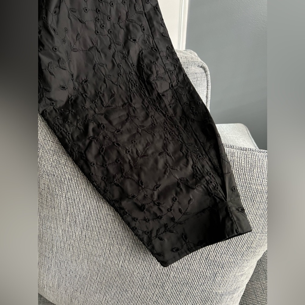 NWT: Zara Eyelet Embroidered High Waisted Pants - Picture 6 of 11